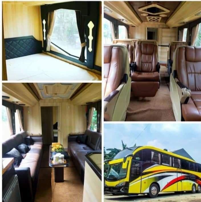 sewa bus luxury