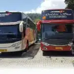 Sewa Bus Jakarta
