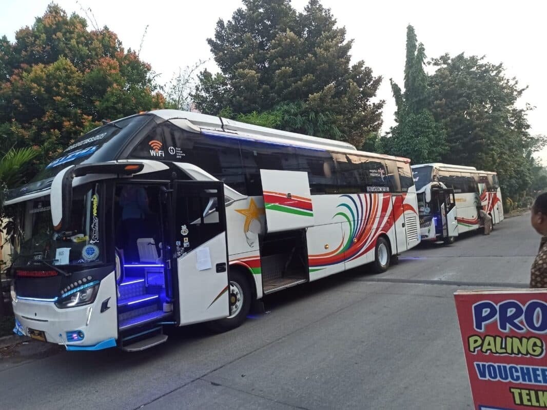 Tips Piknik Tanpa Kendala Dengan Sewa Bus Pariwisata