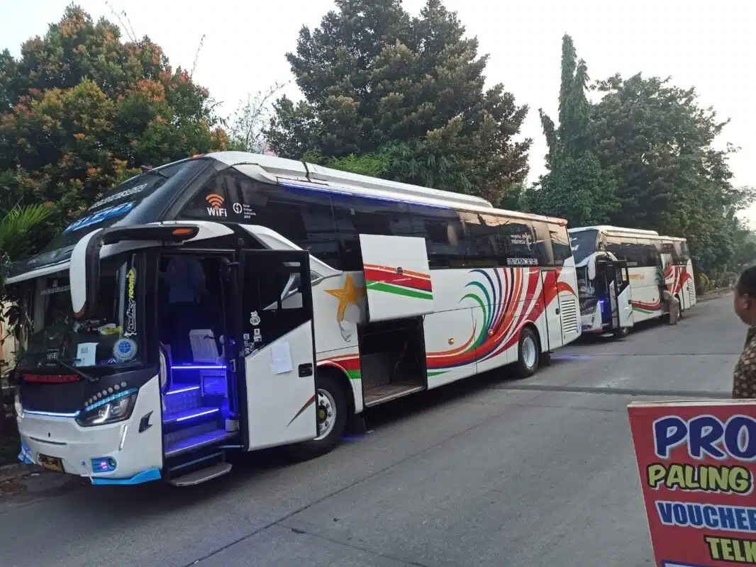 Tips Piknik Tanpa Kendala Dengan Sewa Bus Pariwisata